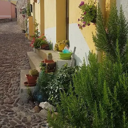 Belvedere Bed & Breakfast *